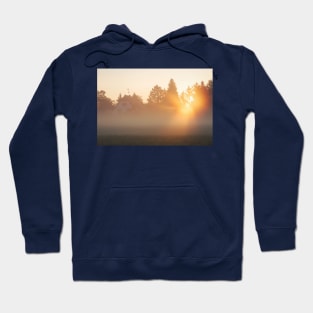 misty cabin Hoodie